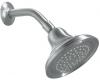 Kohler Devonshire K-10391-G Brushed Chrome Single-Function Showerhead