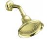 Kohler Bancroft K-10590-AF Vibrant French Gold Single-Function Showerhead