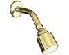 Kohler Coralais K-11742-PB Vibrant Polished Brass Economy Single-Function Showerhead