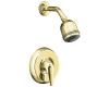 Kohler Coralais K-T15613-4-PB Vibrant Polished Brass Shower Trim with Lever Handle