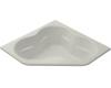 Kohler Tercet K-1161-95 Ice Grey Tercet Bath