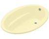 Kohler Sunward K-1163-Y2 Sunlight 5' Bath