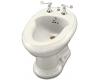 Kohler Revival K-4830-58 Thunder Grey Bidet with Plumb for Horizontal Spray Bidet Faucet