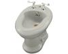 Kohler Revival K-4830-95 Ice Grey Bidet with Plumb for Horizontal Spray Bidet Faucet