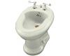 Kohler Revival K-4830-NG Tea Green Bidet with Plumb for Horizontal Spray Bidet Faucet