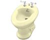 Kohler Revival K-4830-Y2 Sunlight Bidet with Plumb for Horizontal Spray Bidet Faucet