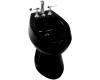 Kohler San Tropez K-4854-7 Black Black Bidet with Plumb for Vertical Spray Bidet Faucet