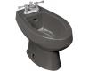 Kohler Amaretto K-4864-58 Thunder Grey Bidet with 4" Centers