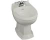 Kohler Portrait K-4896-95 Ice Grey Bidet with Plumb for Horizontal Spray Bidet Faucet