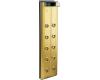 Kohler BodySpa K-1000-H2-PB Vibrant Polished Brass Bodyspa Ten-Jet Tower