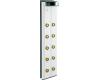 Kohler BodySpa K-1000-H2-PW Vibrant Polished Brass Bodyspa Ten-Jet Tower with White Accents