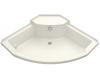 Kohler BodySpa K-1025-H2-96 Biscuit Bodyspa Eight-Jet System Corner Footbath