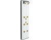 Kohler BodySpa K-1030-PW Vibrant Polished Brass Bodyspa Eight-Jet Tower with White Accents