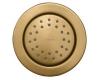 Kohler WaterTile K-8013-BV Vibrant Brushed Bronze Round 27-Nozzle Bodyspray