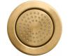 Kohler WaterTile K-8014-BV Vibrant Brushed Bronze Round 54-Nozzle Bodyspray