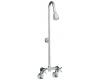 Kohler K-7254-CP Polished Chrome Industrial Exposed Shower with Reversible Yoke