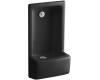 Kohler Glenguard K-5295-7 Black Black Cuspidor