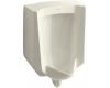 Kohler Bardon K-4904-ER-47 Almond 1/8 Gpf Urinal with Rear Spud