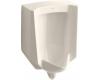 Kohler Bardon K-4904-ER-55 Innocent Blush 1/8 Gpf Urinal with Rear Spud