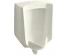 Kohler Bardon K-4904-ER-96 Biscuit 1/8 Gpf Urinal with Rear Spud