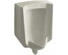 Kohler Bardon K-4904-ER-G9 Sandbar 1/8 Gpf Urinal with Rear Spud