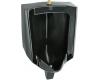 Kohler Bardon K-4904-ET-7 Black Black 1/8Th To 1.0 Gpf Top Spud Urinal