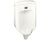 Kohler Bardon K-4915-0 White Touchless Urinal