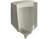Kohler Stanwell K-4972-ER-G9 Sandbar Lite Urinal with Rear Spud