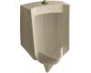 Kohler Stanwell K-4972-ET-33 Mexican Sand Lite Urinal with Top Spud