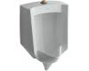 Kohler Stanwell K-4972-ET-95 Ice Grey Lite Urinal with Top Spud