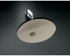 Kohler Caxton K-2209-G9 Sandbar Undercounter Lavatory