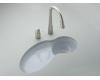 Kohler Fete K-6494-FE Frost Self-Rimming/Undercounter Entertainment Sink