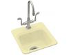 Kohler Northland K-6579-1-Y2 Sunlight Self-Rimming Entertainment Sink with Single-Hole Faucet Drilling