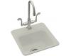 Kohler Northland K-6579-2-95 Ice Grey Self-Rimming Entertainment Sink with Two-Hole Faucet Drilling