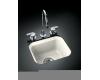 Kohler Northland K-6589-U-58 Thunder Grey Undercounter Entertainment Sink