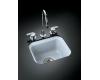 Kohler Northland K-6589-U-6 Skylight Undercounter Entertainment Sink