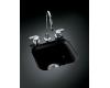 Kohler Northland K-6589-U-7 Black Black Undercounter Entertainment Sink