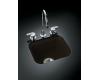 Kohler Northland K-6589-U-KA Black 'n Tan Undercounter Entertainment Sink