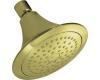 Kohler Forte K-10282-AF French Gold Single Function Showerhead