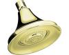 Kohler Forte K-10284-AF French Gold Multi-Function Showerhead