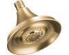 Kohler Forte K-10284-BV Brushed Bronze Multi-Function Showerhead