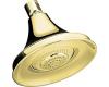 Kohler Forte K-10284-PB Polished Brass Multi-Function Showerhead