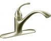 Kohler K-10411-BN Forte Vibrant Brushed Nickel Lever Handle Faucet