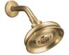 Kohler Fairfax K-12009-BV Brushed Bronze Multi-Function Showerhead