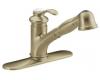 Kohler Fairfax K-12177-BV Brushed Bronze Pull-Out Kitchen Faucet