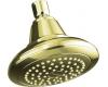 Kohler Pinstripe K-13137-AF French Gold Showerhead