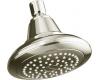 Kohler Pinstripe K-13137-SN Polsihed Nickel Showerhead