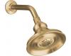 Kohler Revival K-16167-BV Brushed Bronze Multi-Function Showerhead