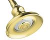 Kohler Revival K-16167-PB Polished Brass Multi-Function Showerhead