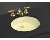 Kohler Caxton K-2210-Y2 Sunlight Undermount Lavatory Sink